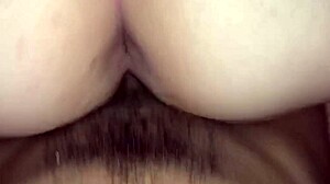 Une adolescente avec un gros cul se fait baiser par une grosse bite noire en vidéo HD