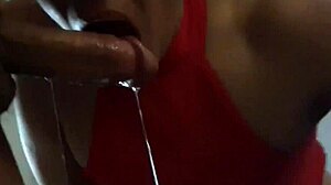 Vaginal sex and assfucking: A MILF's dream come true